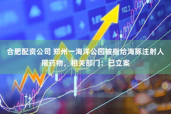 合肥配资公司 郑州一海洋公园被指给海豚注射人用药物，相关部门：已立案