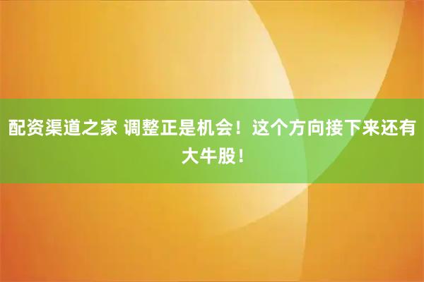 配资渠道之家 调整正是机会！这个方向接下来还有大牛股！
