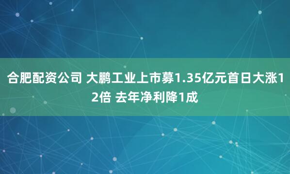 合肥配资公司 大鹏工业上市募1.35亿元首日大涨12倍 去年净利降1成