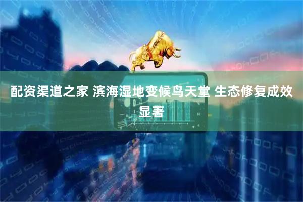 配资渠道之家 滨海湿地变候鸟天堂 生态修复成效显著